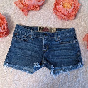 Hollister Co. Raw Hem Denim Shorts Size 5
